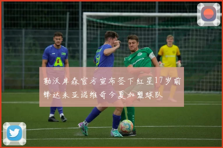勒沃库森官方宣布签下红星17岁前锋达米亚诺维奇今夏加盟球队